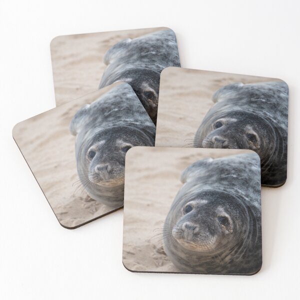 Item preview, Cute seal pup designed and sold by cdkphotos.