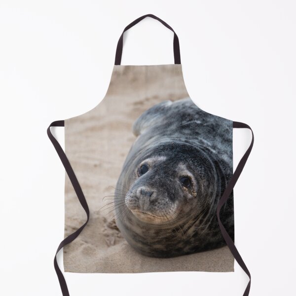 Item preview, Cute seal pup designed and sold by cdkphotos.
