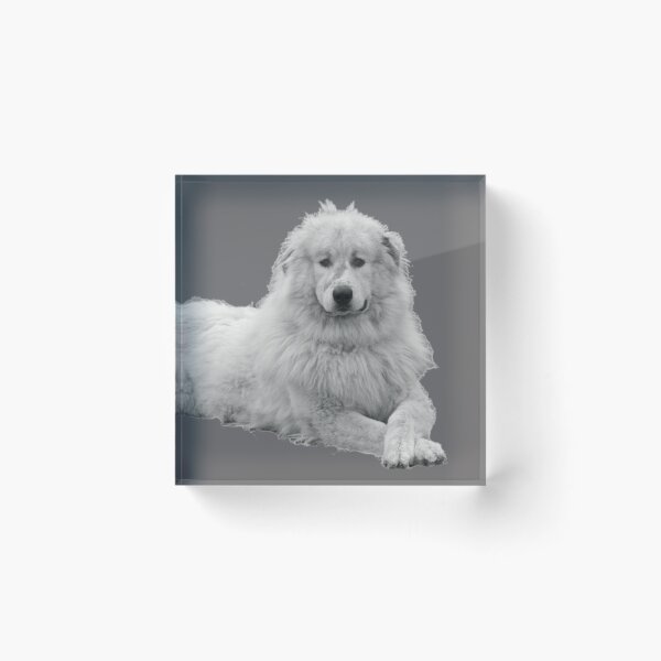 Item preview, Pyrenees Mountain dog designed and sold by Robert Elfferich.