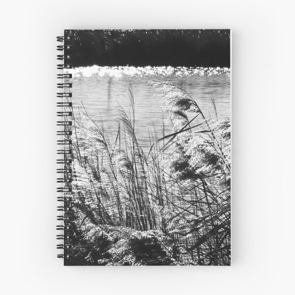 Item preview, Reeds. designed and sold by Paul Pasco.