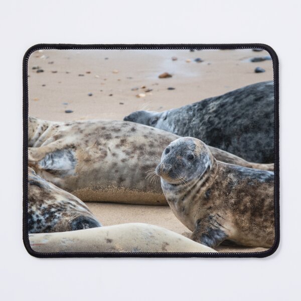 Item preview, Horsey Gap seals designed and sold by cdkphotos.