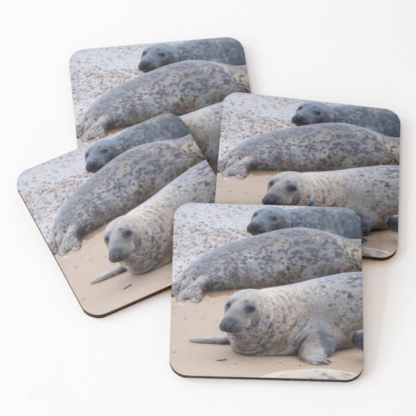 Item preview, Horsey Gap seals on the beach designed and sold by cdkphotos.
