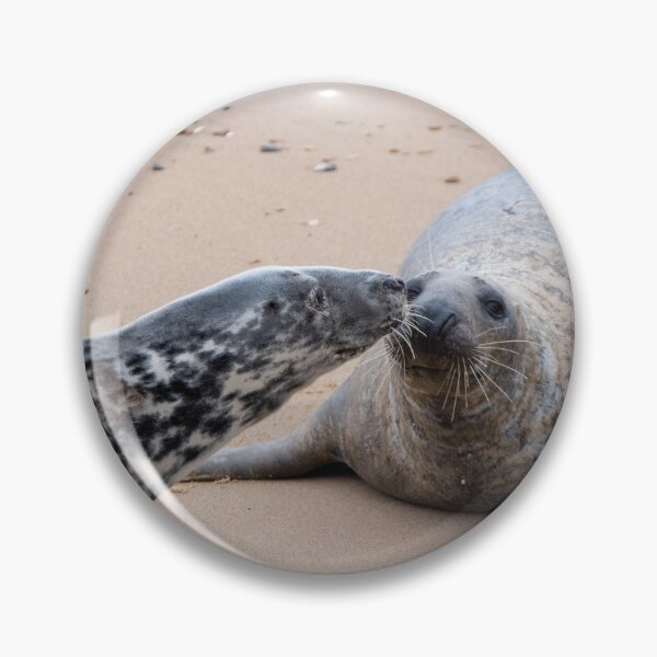 Item preview, Kissing grey seals designed and sold by cdkphotos.