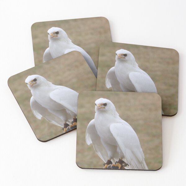 Item preview, Leucistic Red-Tailed Hawk designed and sold by MADowdPhotos.