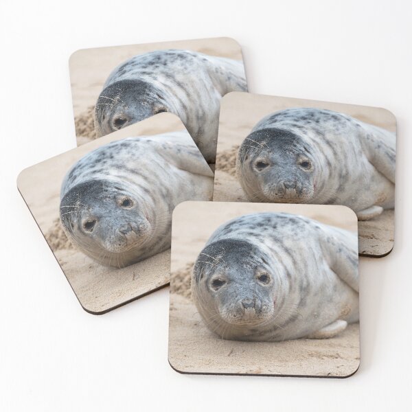 Item preview, Relaxing grey seal pup designed and sold by cdkphotos.