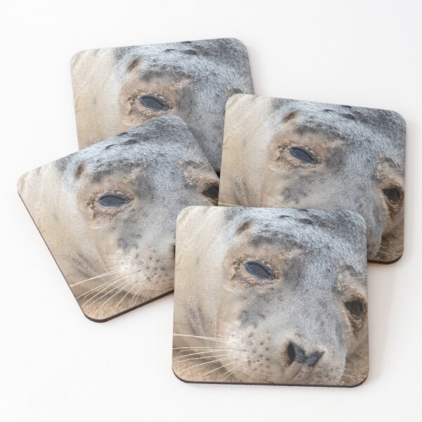 Item preview, Grey seal up close designed and sold by cdkphotos.