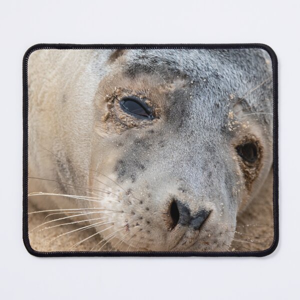Item preview, Grey seal up close designed and sold by cdkphotos.