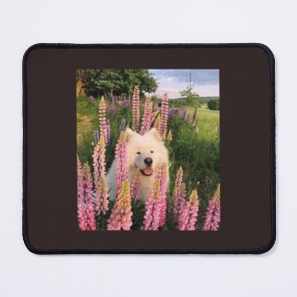 Item preview, cute aesthetic coconut girl dog    designed and sold by 4seasondesign.