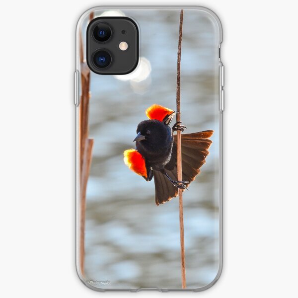 Red-winged Blackbird iPhone Soft Case