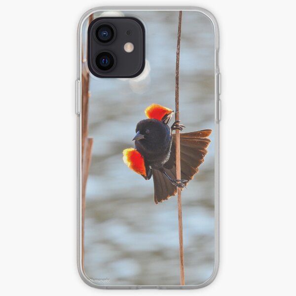 Red-winged Blackbird iPhone Soft Case