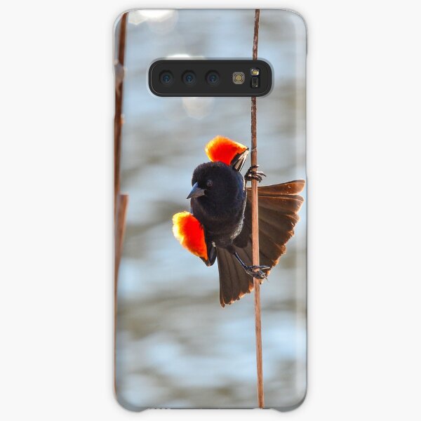 Red-winged Blackbird Samsung Galaxy Snap Case