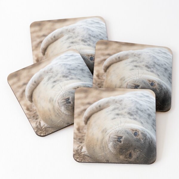 Item preview, Relaxing seal pup designed and sold by cdkphotos.