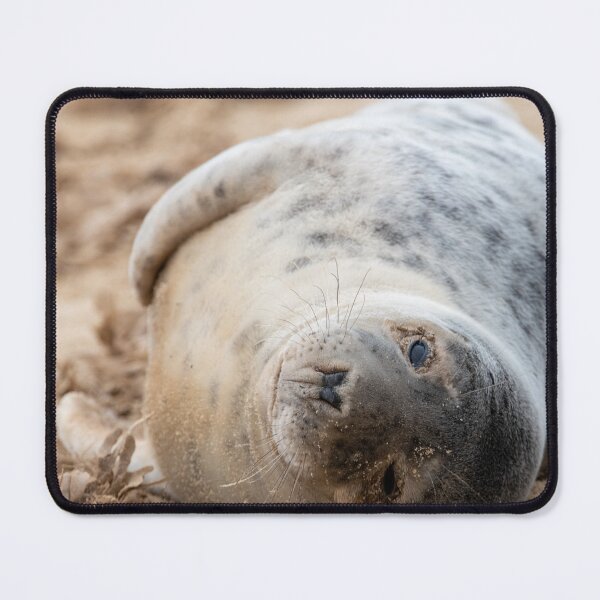 Item preview, Relaxing seal pup designed and sold by cdkphotos.