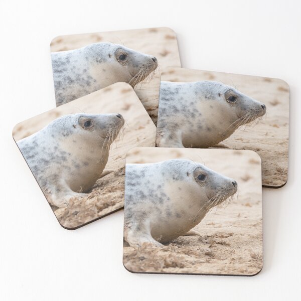 Item preview, Seal on the beach designed and sold by cdkphotos.
