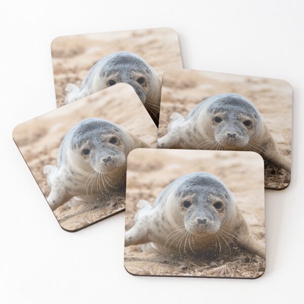 Item preview, Horsey Gap seal pup designed and sold by cdkphotos.