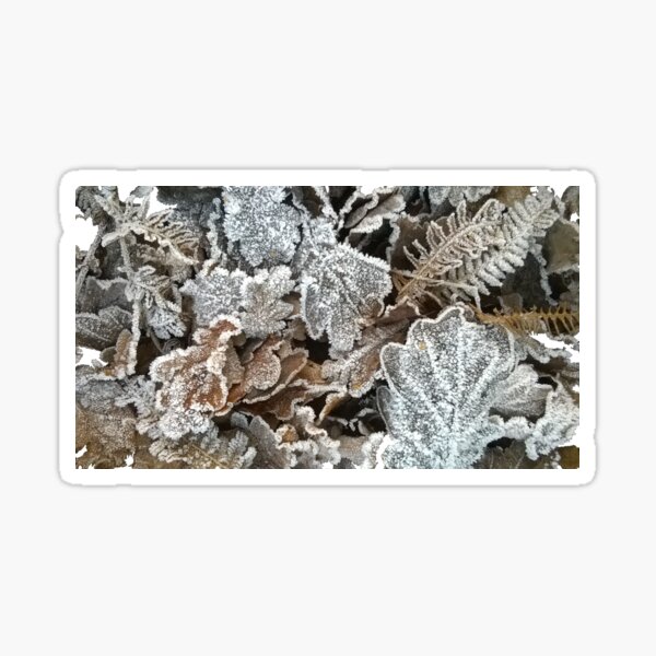 Frosted leaves - fluid edge Sticker