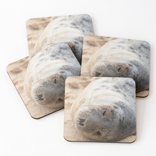 Item preview, Sleeping grey seal designed and sold by cdkphotos.