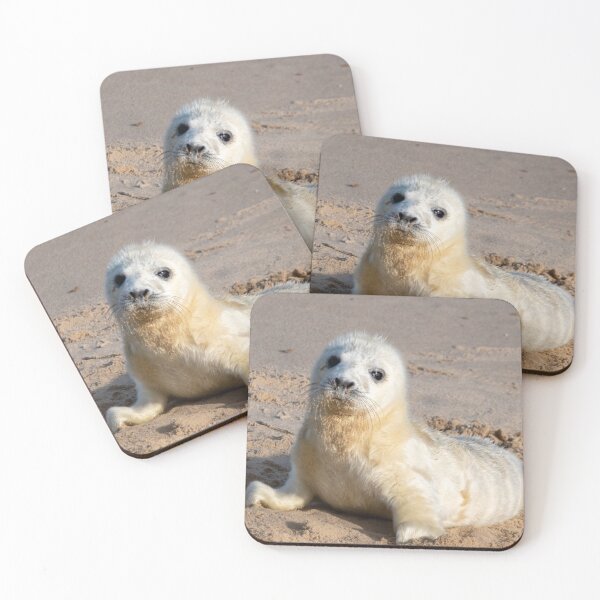 Item preview, Adorable grey seal pup designed and sold by cdkphotos.