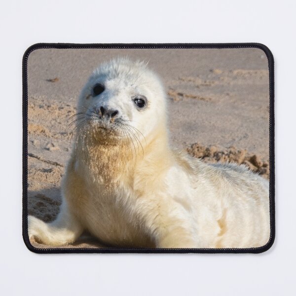 Item preview, Adorable grey seal pup designed and sold by cdkphotos.