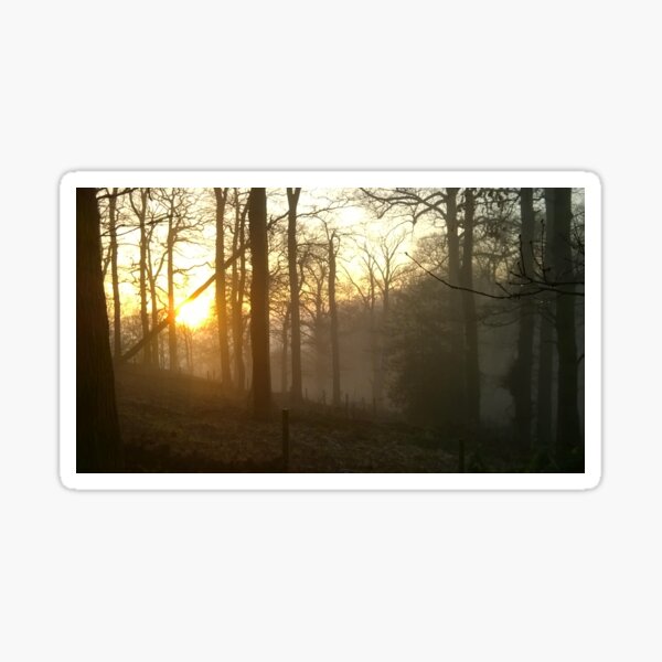 Golden sunset - foggy hillside Sticker
