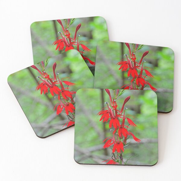 Item preview, Red Cardinal Flower designed and sold by LisaWootenPhoto.
