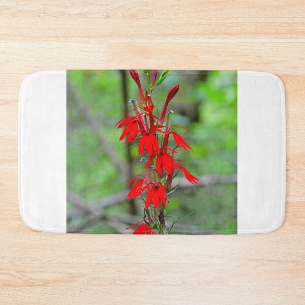 Item preview, Red Cardinal Flower designed and sold by LisaWootenPhoto.