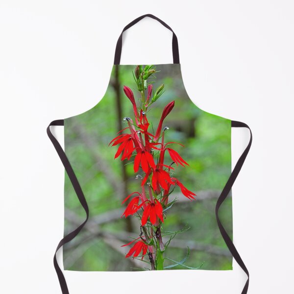 Item preview, Red Cardinal Flower designed and sold by LisaWootenPhoto.