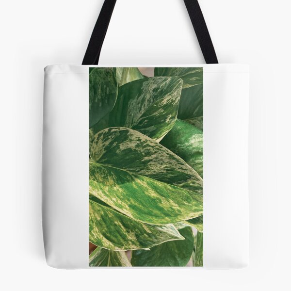 Item preview, Marble Queen Pothos designed and sold by DreamMonstera.