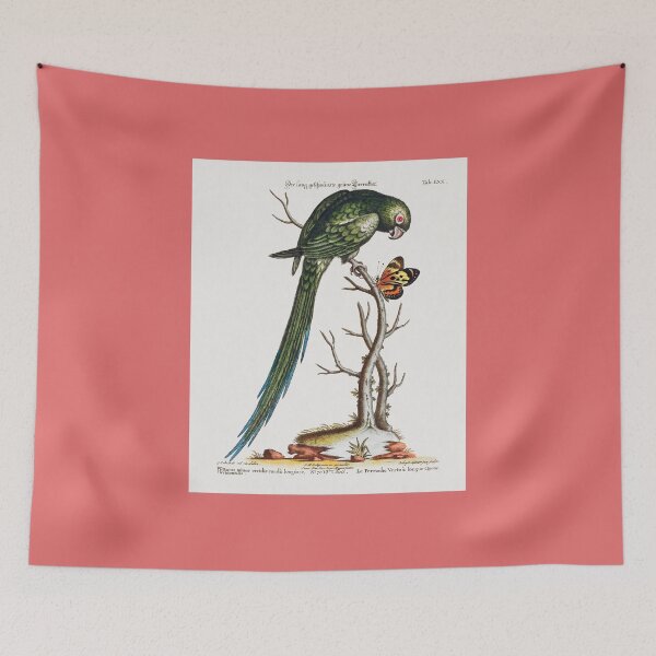 Item preview, Parakeet designed and sold by Inspieation.