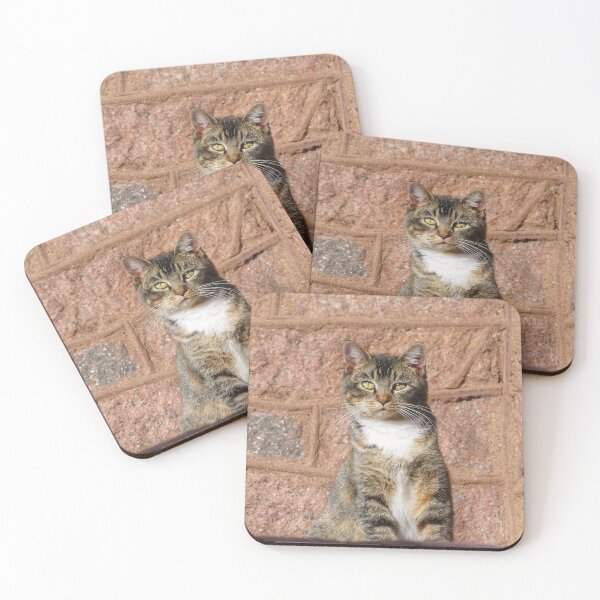 Item preview, Church Cat designed and sold by Frankie Cat Photography.