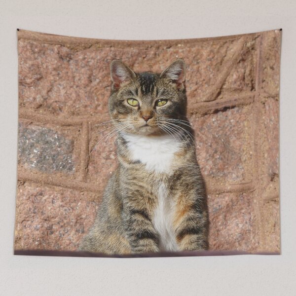 Item preview, Church Cat designed and sold by Frankie Cat Photography.