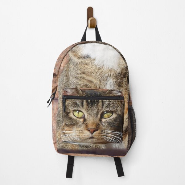 Item preview, Church Cat designed and sold by Frankie Cat Photography.