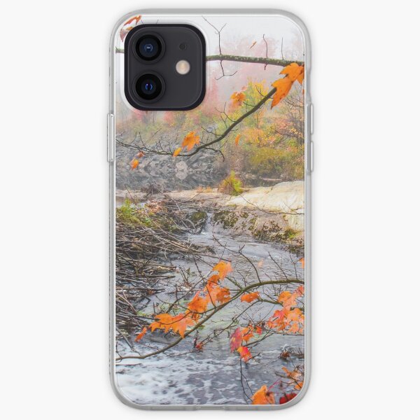 Misty Morning, Algonquin Park iPhone Soft Case