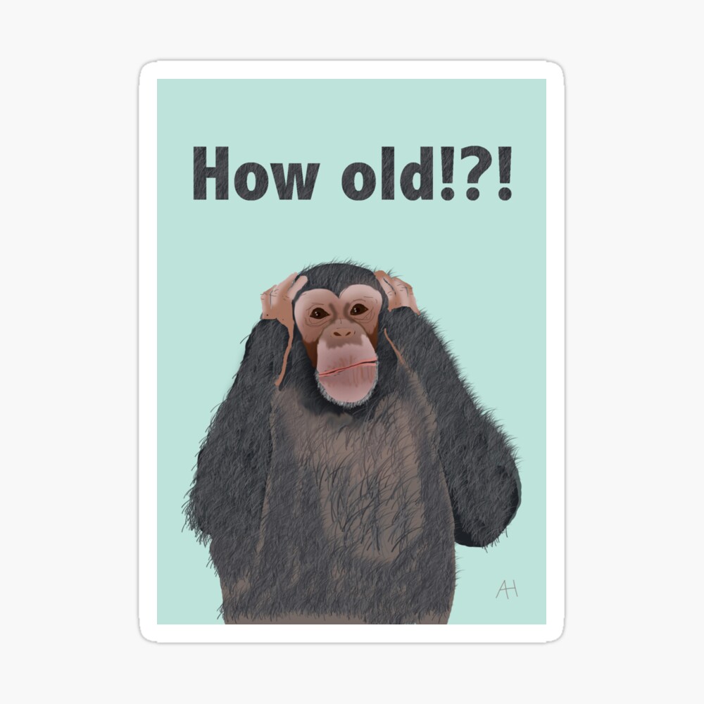 Carte De Vœux Chimpanze Choque Par L Age Carte D Anniversaire Par Amymh Redbubble Carte De Vœux Chimpanze Choque Par L Age Carte D Anniversaire Par Amymh Redbubble