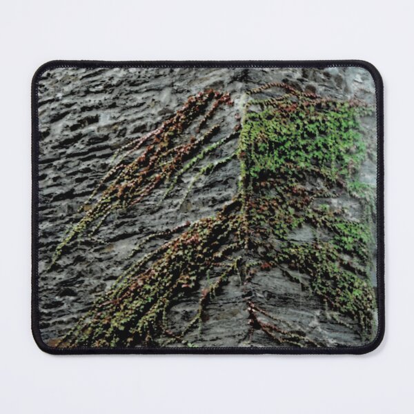 Item preview, ivy on slate designed and sold by werflow-.