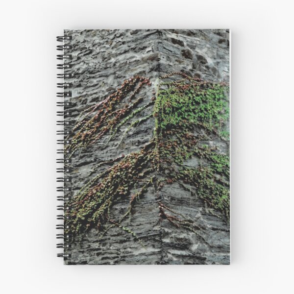Item preview, hiedra en pizarra designed and sold by werflow-.