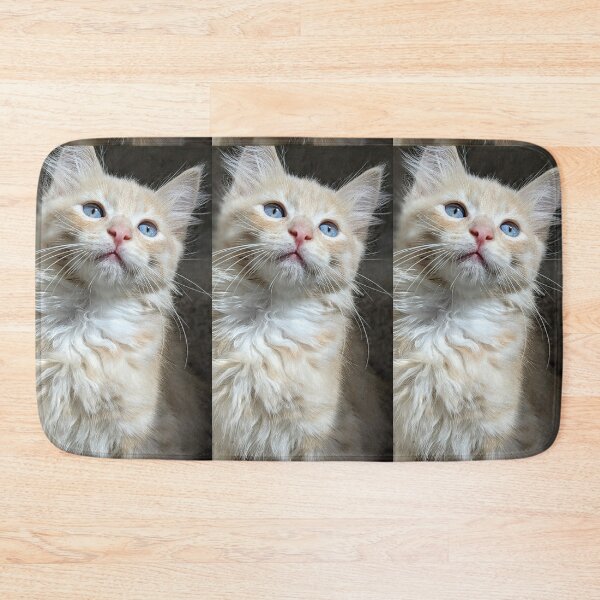 Item preview, Ragdoll Mainecoon kitten designed and sold by Fluffycat2020.