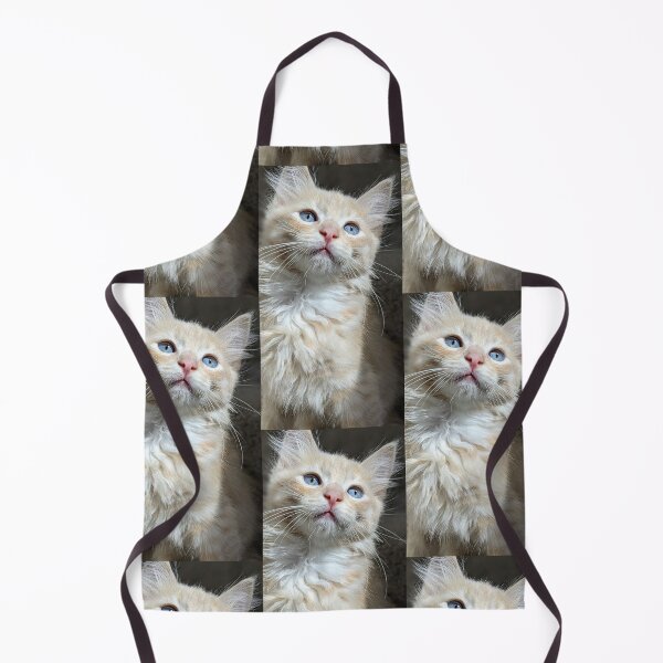 Item preview, Ragdoll Mainecoon kitten designed and sold by Fluffycat2020.