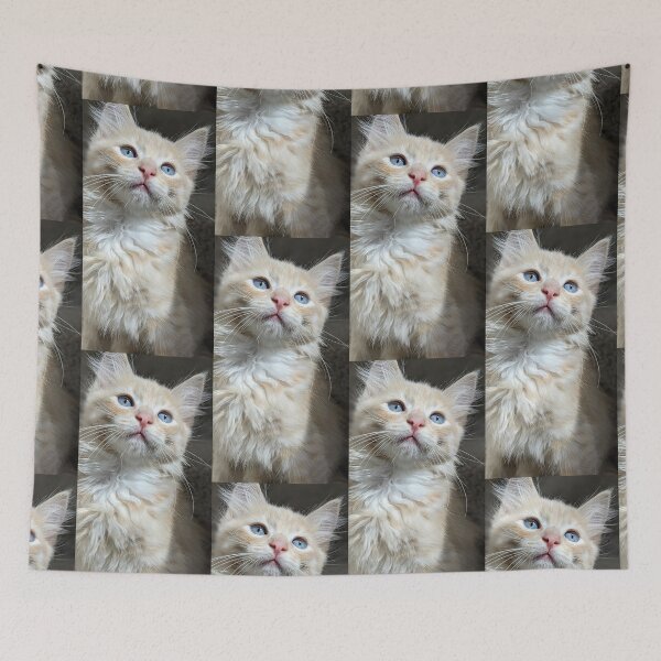 Item preview, Ragdoll Mainecoon kitten designed and sold by Fluffycat2020.