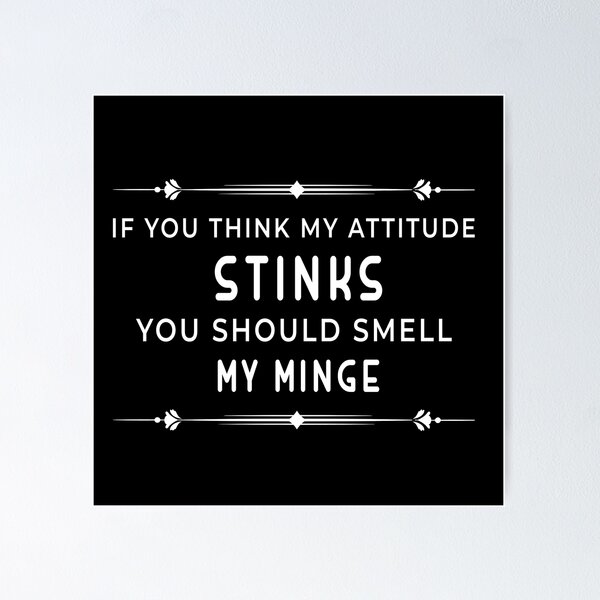 My Attitude Stinks You Should Smell my Skid Marks' Mouse Pad