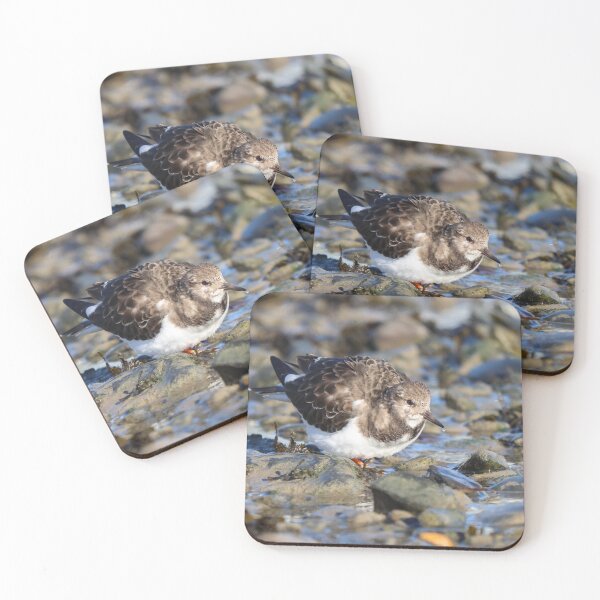 Item preview, All fluffed up designed and sold by GreyFeatherPhot.