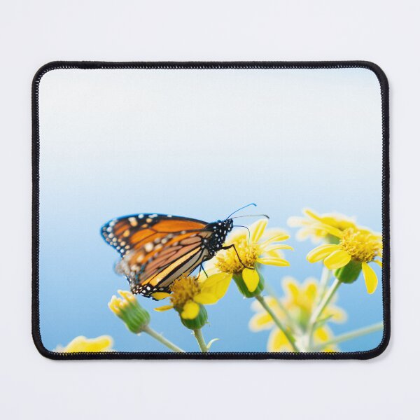 Item preview, Monarch butterfly resting on yellow daisy against sky background. designed and sold by Brian Scantlebury.