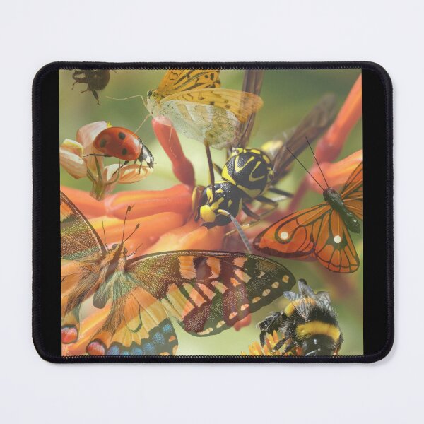 Artikelvorschau, Digitale Fotocollage Bienen und Schmetterlinge, die Blumen bestäuben entworfen und verkauft von EarthArtDesigns.