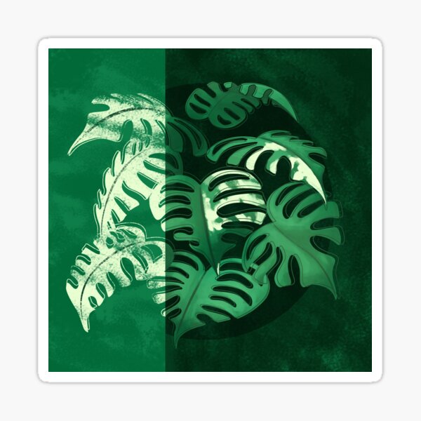 Vista previa del artículo con la obra «monstera albo», diseñado y vendido por Jay Heida.