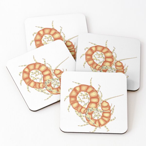 Item preview, Centipede designed and sold by Margauxb.