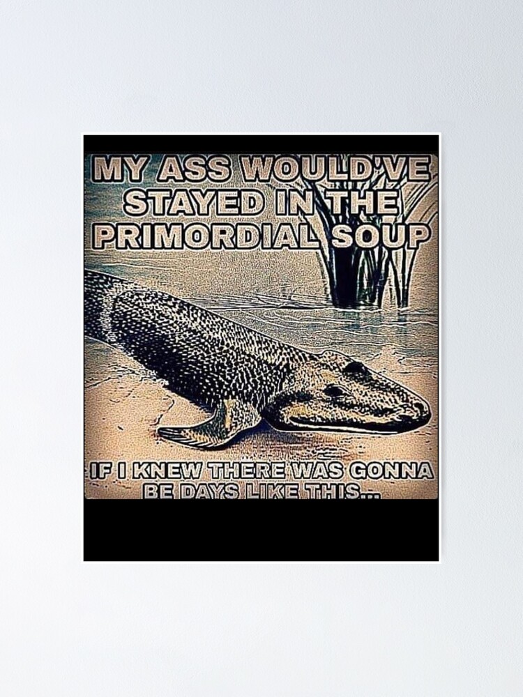 I Would've Stayed In The Primordial Soup "Would've Stayed in the Primordial Soup Deepfried Meme" Poster for Sale