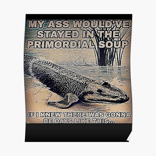 I Would Have Stayed In The Primordial Soup