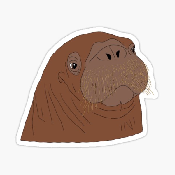 Kora Walrus Sticker