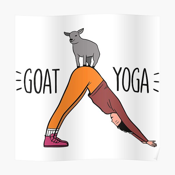 "Goat yoga" Poster for Sale by SolArt88 Redbubble