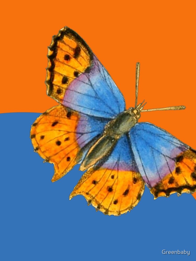 Tangerine Orange Frock With Spreaded Blue Butterflies Online Tamil